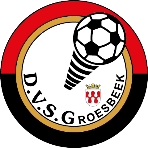 DVSG